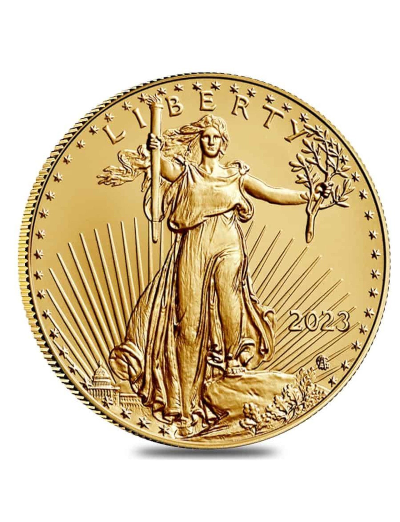 24k 1 oz Gold American Eagle Coin